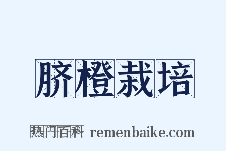 脐橙栽培是什么意思的图片